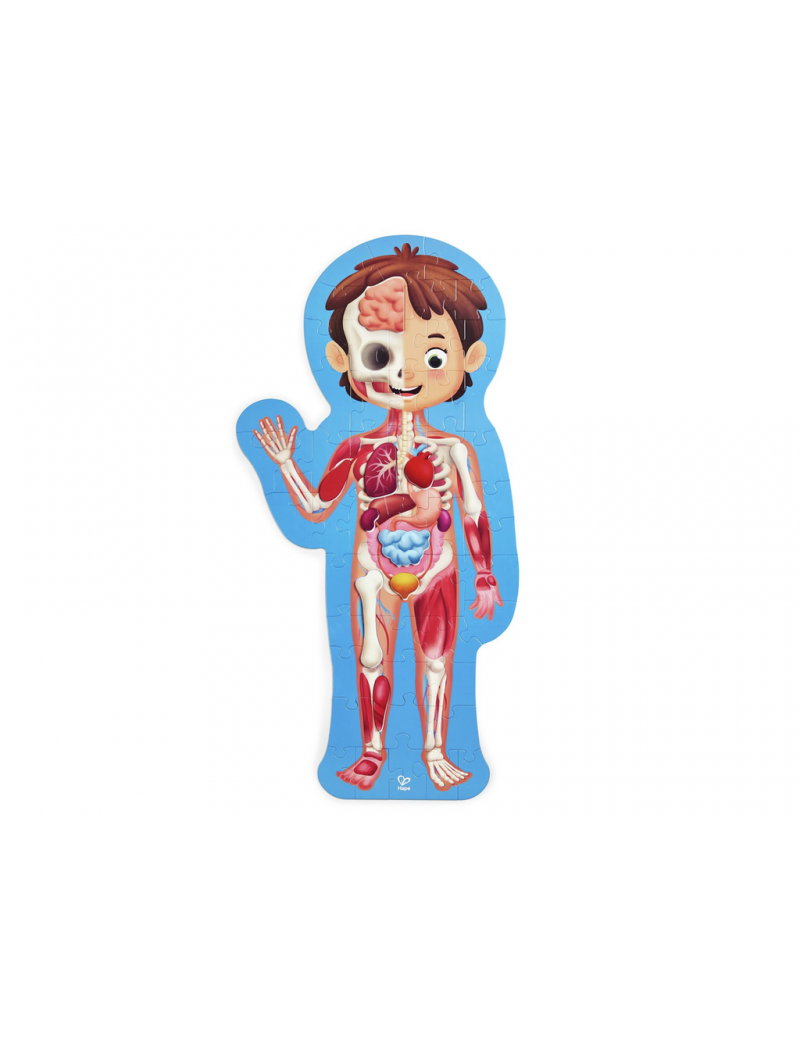 Puzzle Cuerpo Humano